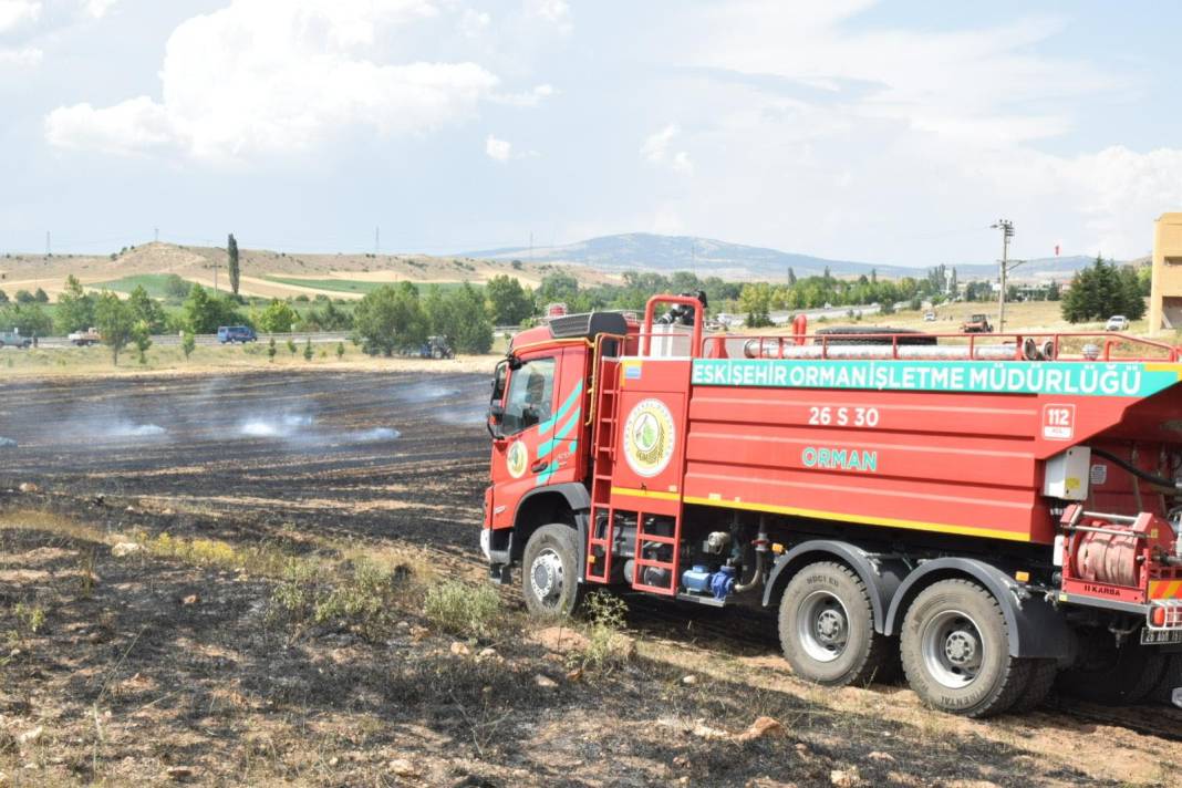 Ağaçlandırma sahasındaki yangın, erken müdahaleyle söndürüldü 7